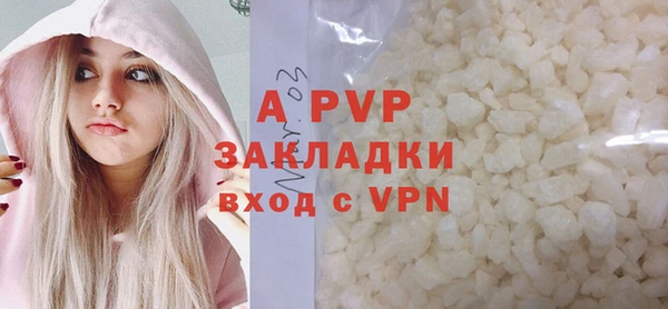 МДПВ Бородино