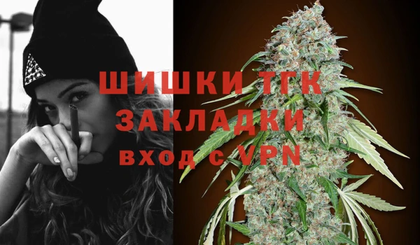 МДПВ Бородино