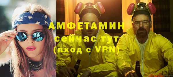 МДПВ Бородино