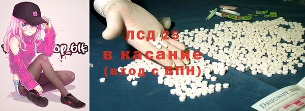 МДПВ Бородино