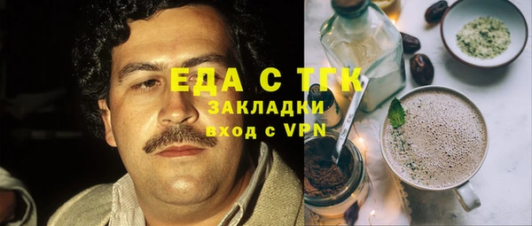 индика Богородск