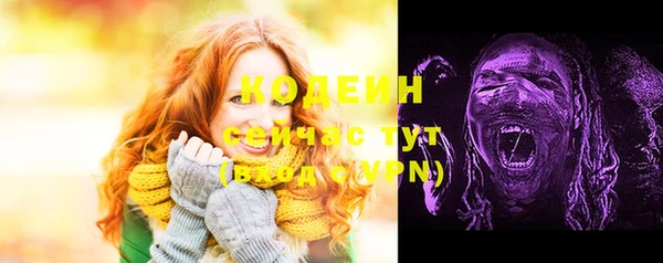 МДПВ Бородино